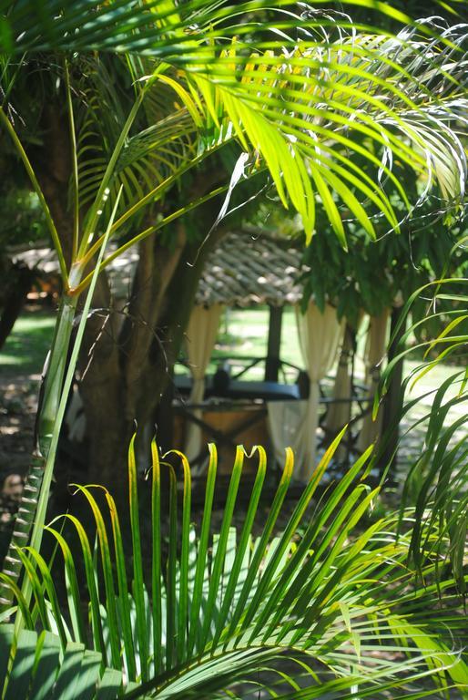 Casa Girassois Villa Praia de Pipa Exterior photo
